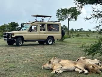 Tanzania Safari